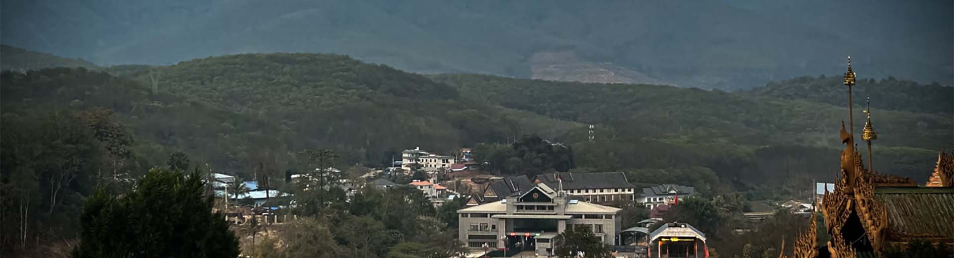 腾龙国际公司